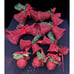 Amazing Large Lot Of Christmas Red Glitter Bell Ornaments & More Lot