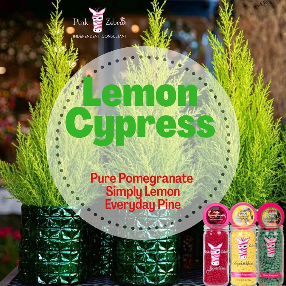 Pink Zebra Sprinkles 'Lemon Cypress'