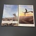 *National Geographic Magazines Bundle (Lot of 10) - 2016