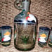 Mexican Hand Blown Frosted Tequila Bottle & 6 Shot Glasses Hand Painted Set