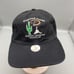 Vintage Diamond Backs Spring Training Baseball Cap Cactus Black Rare with Tags