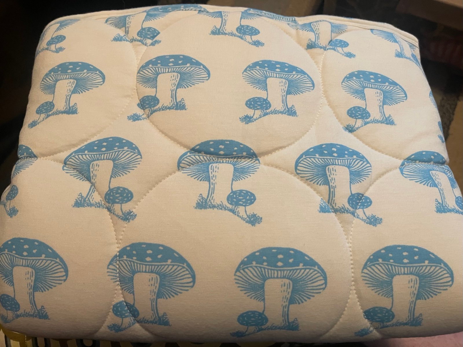 Kate Quinn Blue Toadstool Quilt