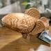Wooden koi fish !
