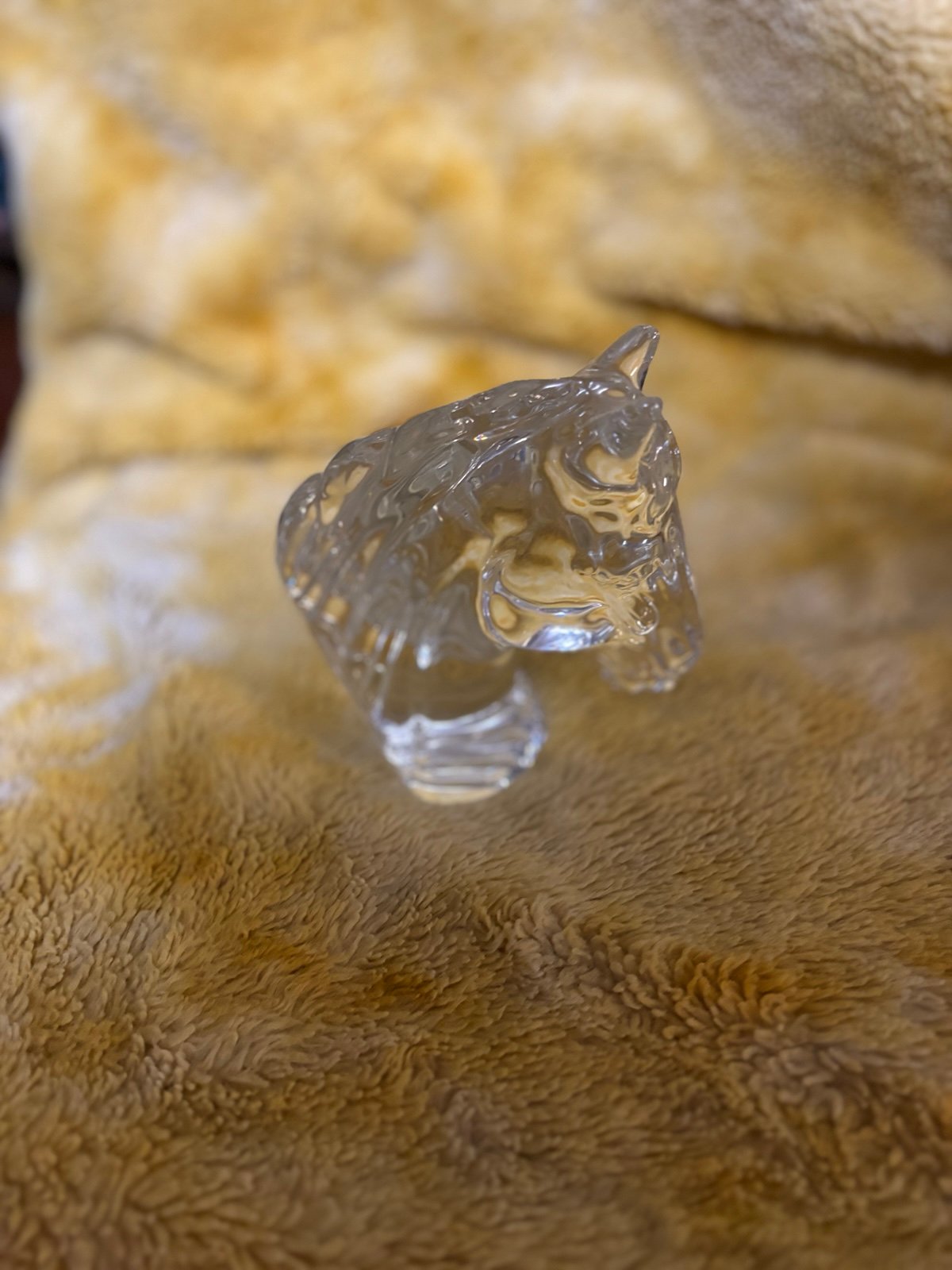 Horse head