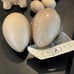 Paper Mache 8” bunny,2- 5.5” egg & 4- 2.5” eggs