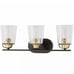 Progress Lighting Inspiration Collection 3-Light Antique Bronze Vanity Light