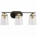 Progress Lighting Inspiration Collection 3-Light Antique Bronze Vanity Light