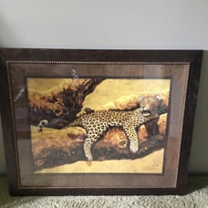Wild Cat Picture Frame