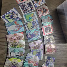 Sports card lot