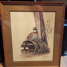 Bobwhite - Quail Framed Print