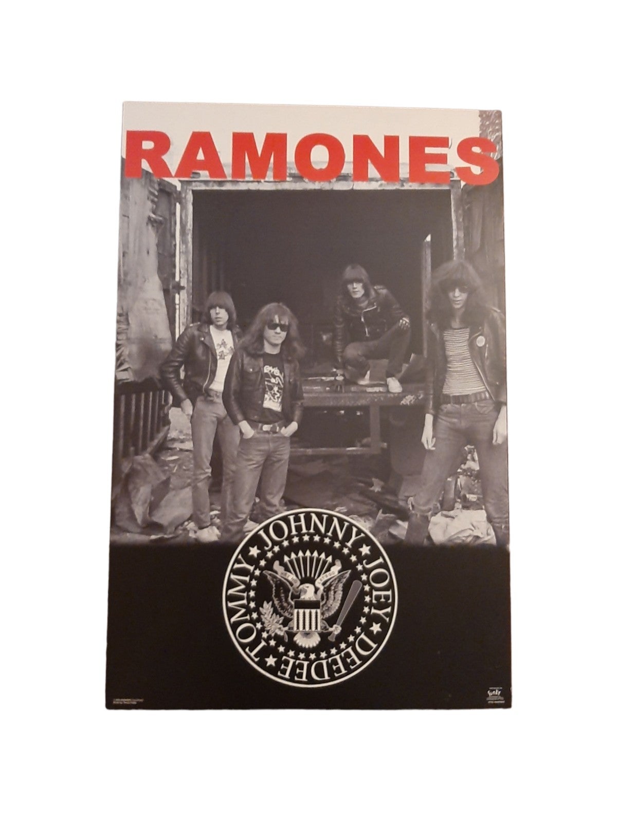 Ramones wall hanging