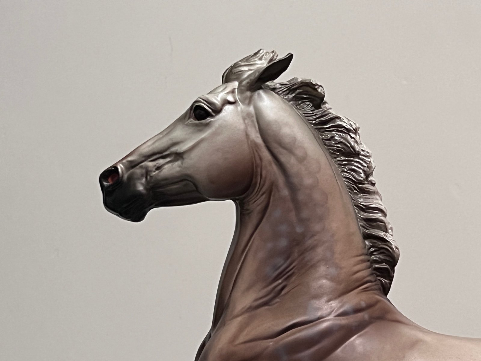 Breyer “wyatt” premier online club special