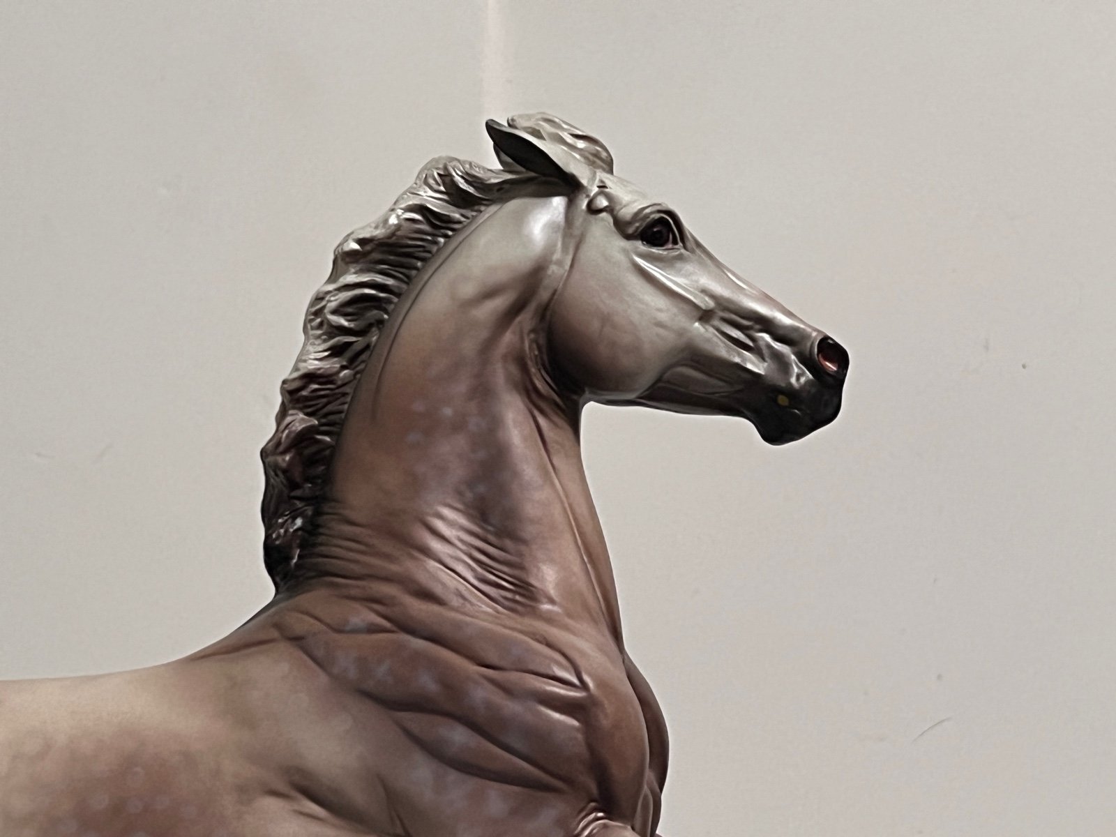 Breyer “wyatt” premier online club special