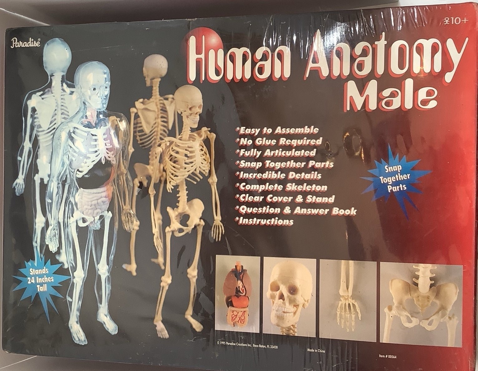 NEW*SEALED Vintage Paradise Human Anatomy Male Model