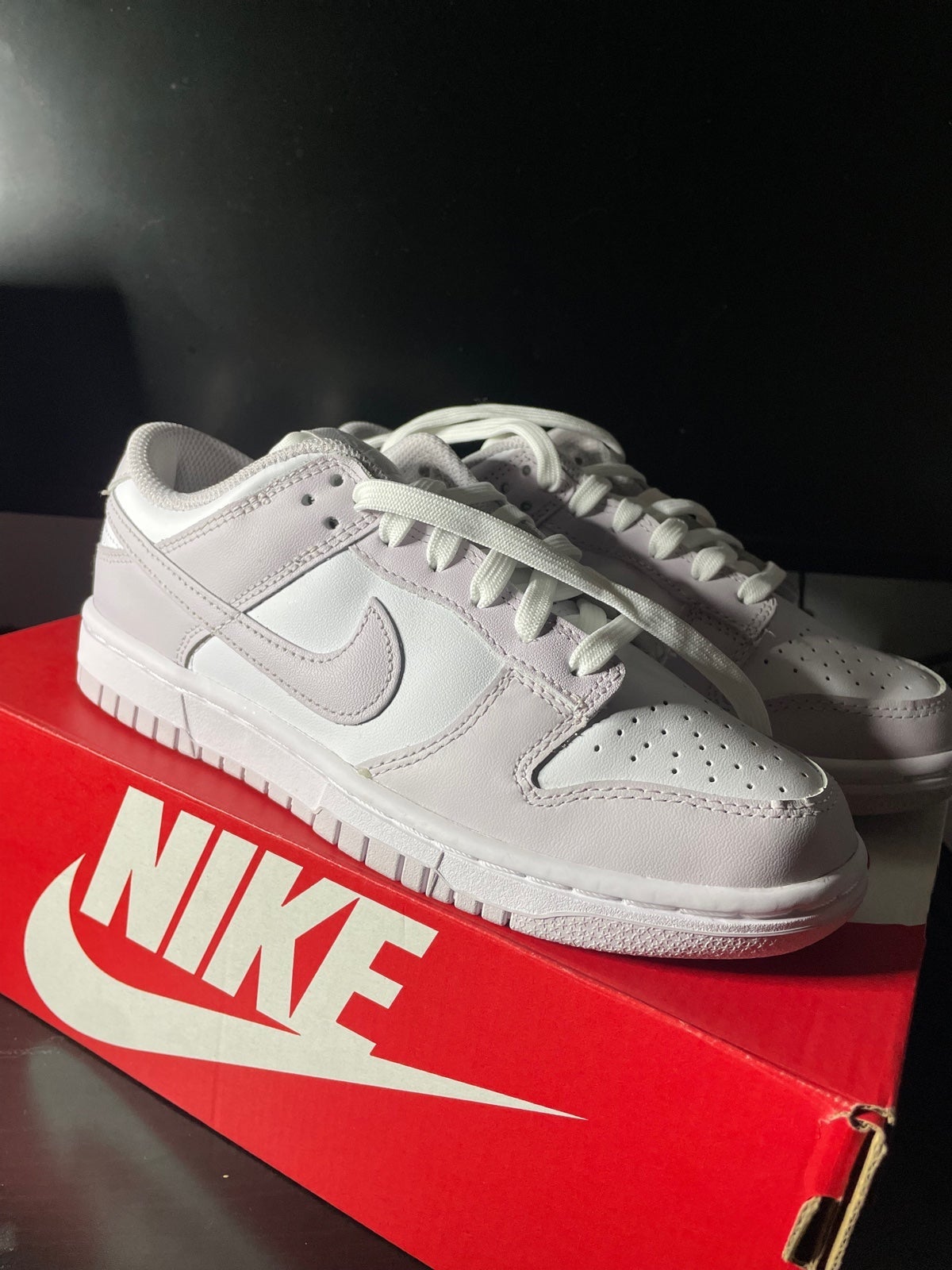 Nike dunk low Venice