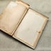 Antique The Settlement Cookbook Mrs Simon Kander 10th Edition 1920 HC Cook book