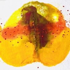 Original Art ‘Pod Love’ Encaustic Wax Painting Matted 14”x11 Frame Ready