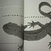 SIGNED, Hummingbird Salamander, Jeff VanderMeer, First Edition, First Printing
