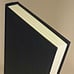SIGNED, Hummingbird Salamander, Jeff VanderMeer, First Edition, First Printing