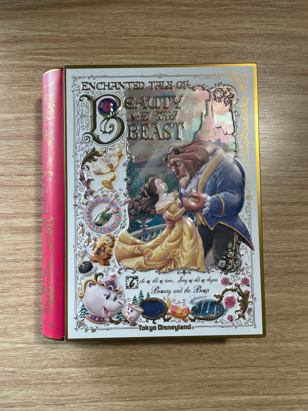 Tokyo Disney Resort Beauty and Beast Metal Book Tin Case