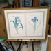 Framed print with two botanical irises artist Pierre Joseph Redoute (1759-1840).
