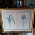 Framed print with two botanical irises artist Pierre Joseph Redoute (1759-1840).