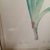 Framed print with two botanical irises artist Pierre Joseph Redoute (1759-1840).