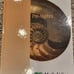 Math U See Pre-Algebra Homeschool Curriculum