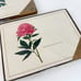 Vintage 8 Piece Pimpernel Placemats Chinese Peony Yellow Chrysanthemum MMA New