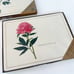 Vintage 8 Piece Pimpernel Placemats Chinese Peony Yellow Chrysanthemum MMA New