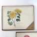 Vintage 8 Piece Pimpernel Placemats Chinese Peony Yellow Chrysanthemum MMA New