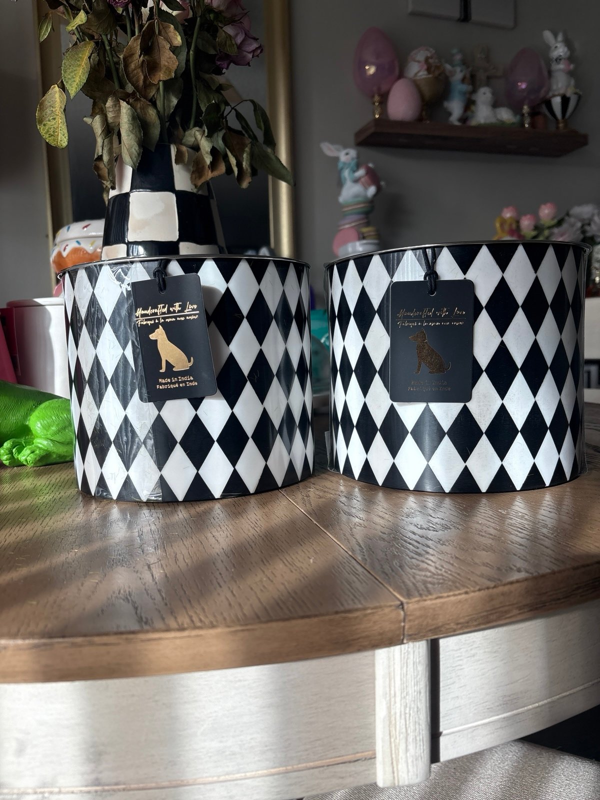 Checkered Dog Bowls