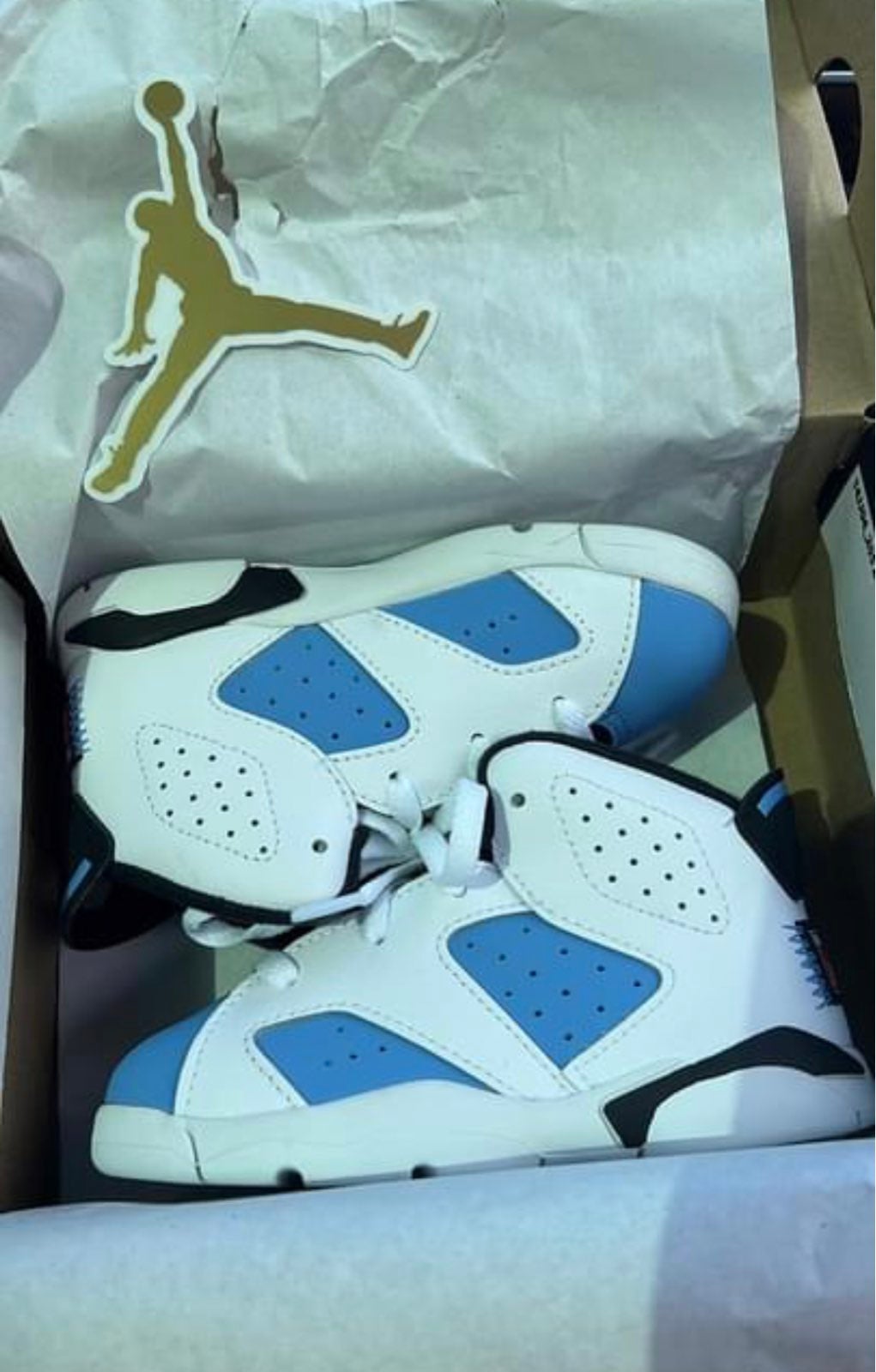Nike Air Jordan Retro 6 Shoes