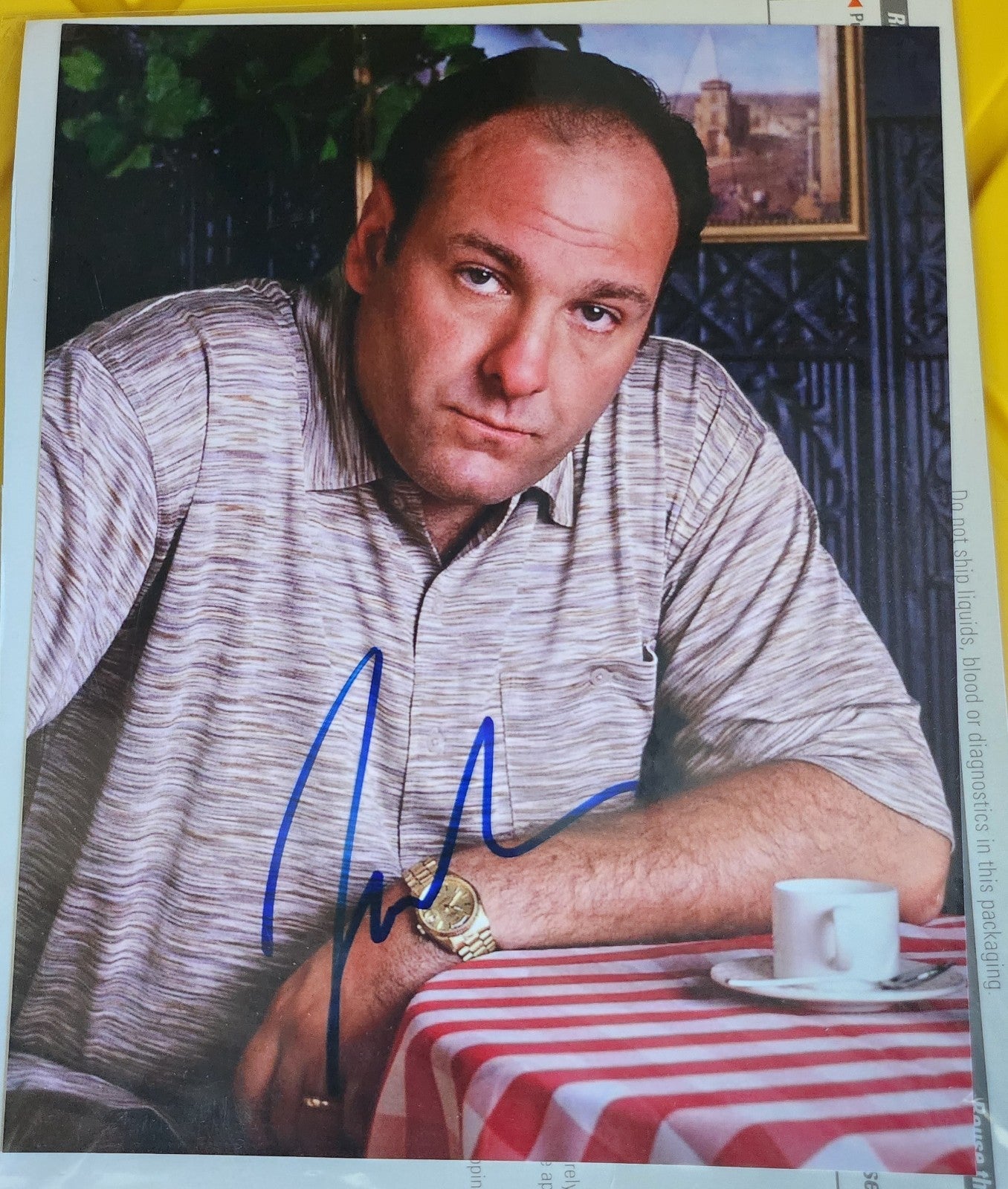 The Sopranos James Gandolfini Tony Signed Photo