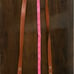 Women's Coach Brown Leather Crossbody Bag Small