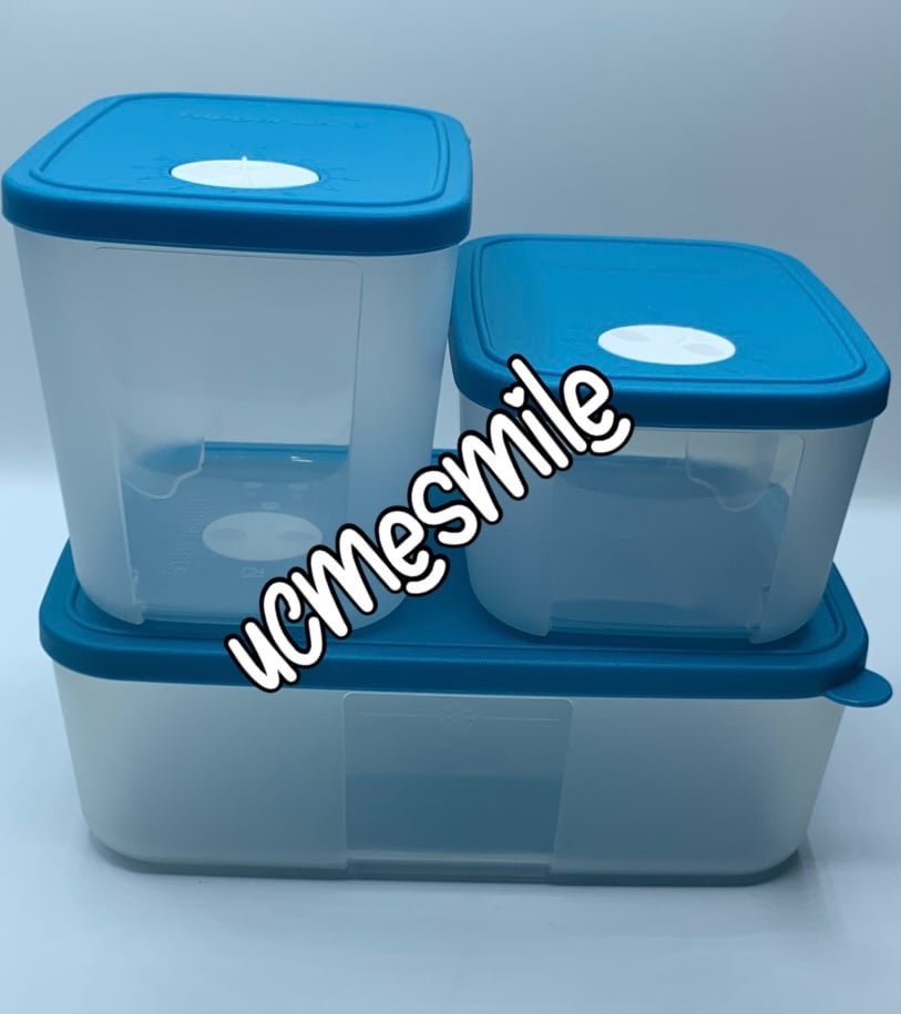 Tupperware FreezeSmart Rectangular Freezer Storage Container Set