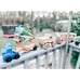 Huge Lot 40pc Wooden Toy Cars Plane Trucks melissa and doug
