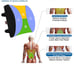 LOVEHOME Memory Foam Lumbar Support Back