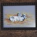 Studio 530 Photograph Framed Art by Connie L. Thaxes Blue and White Ox Lying Dow