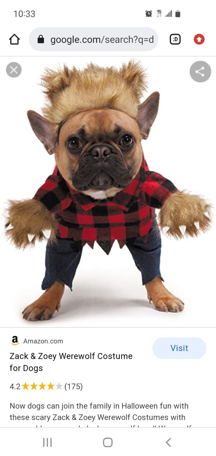 Dog costume from chewy