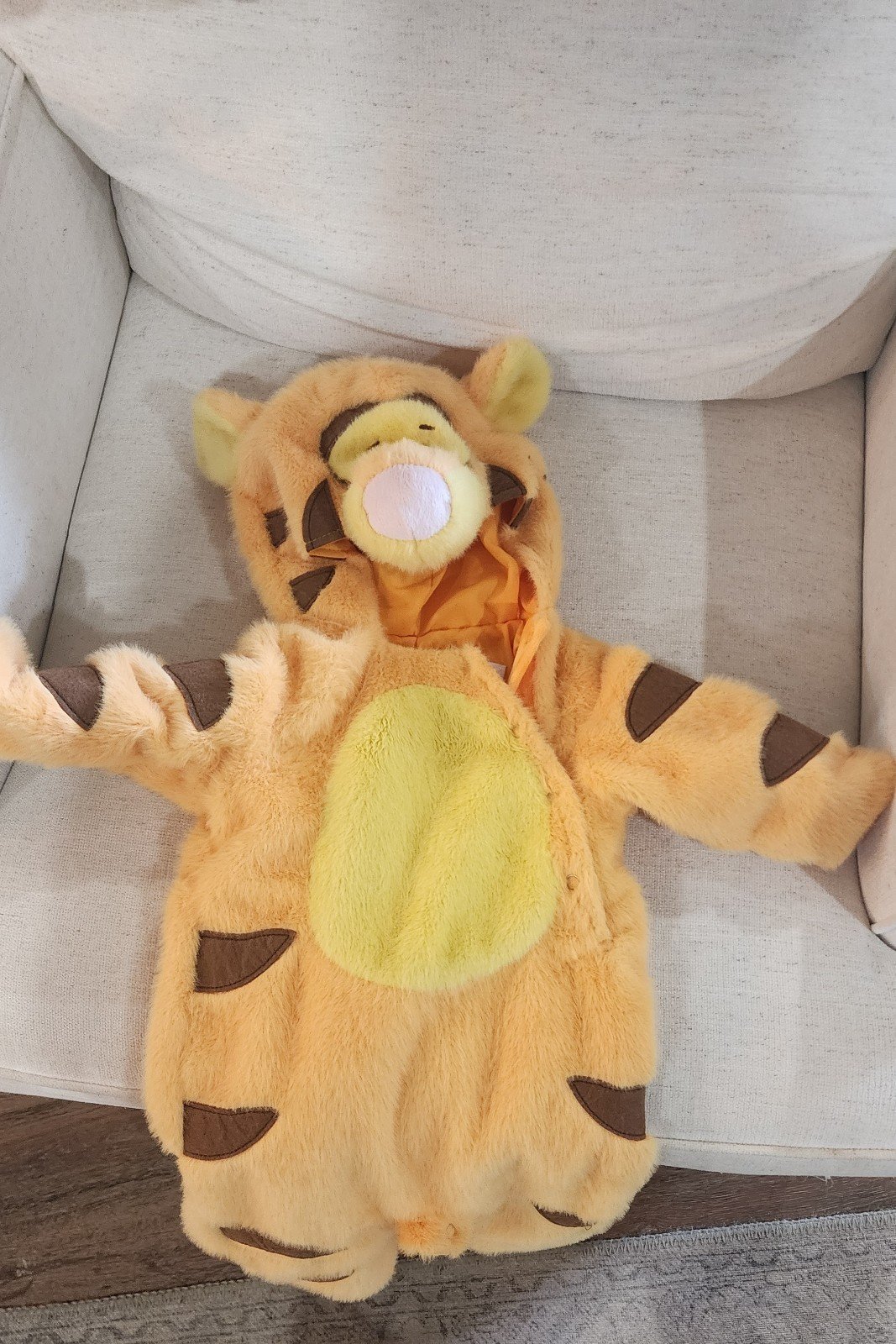 Pottery barn costume