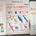 KUMON Kumikumi Slope Set