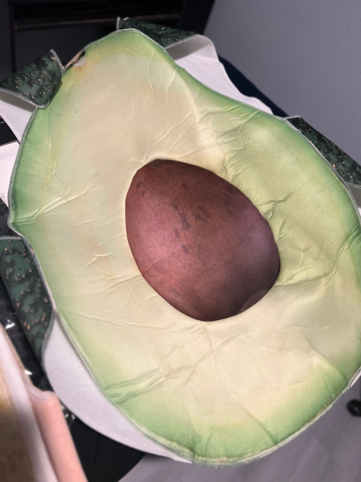 avocado toast costume (adult size - for two people)