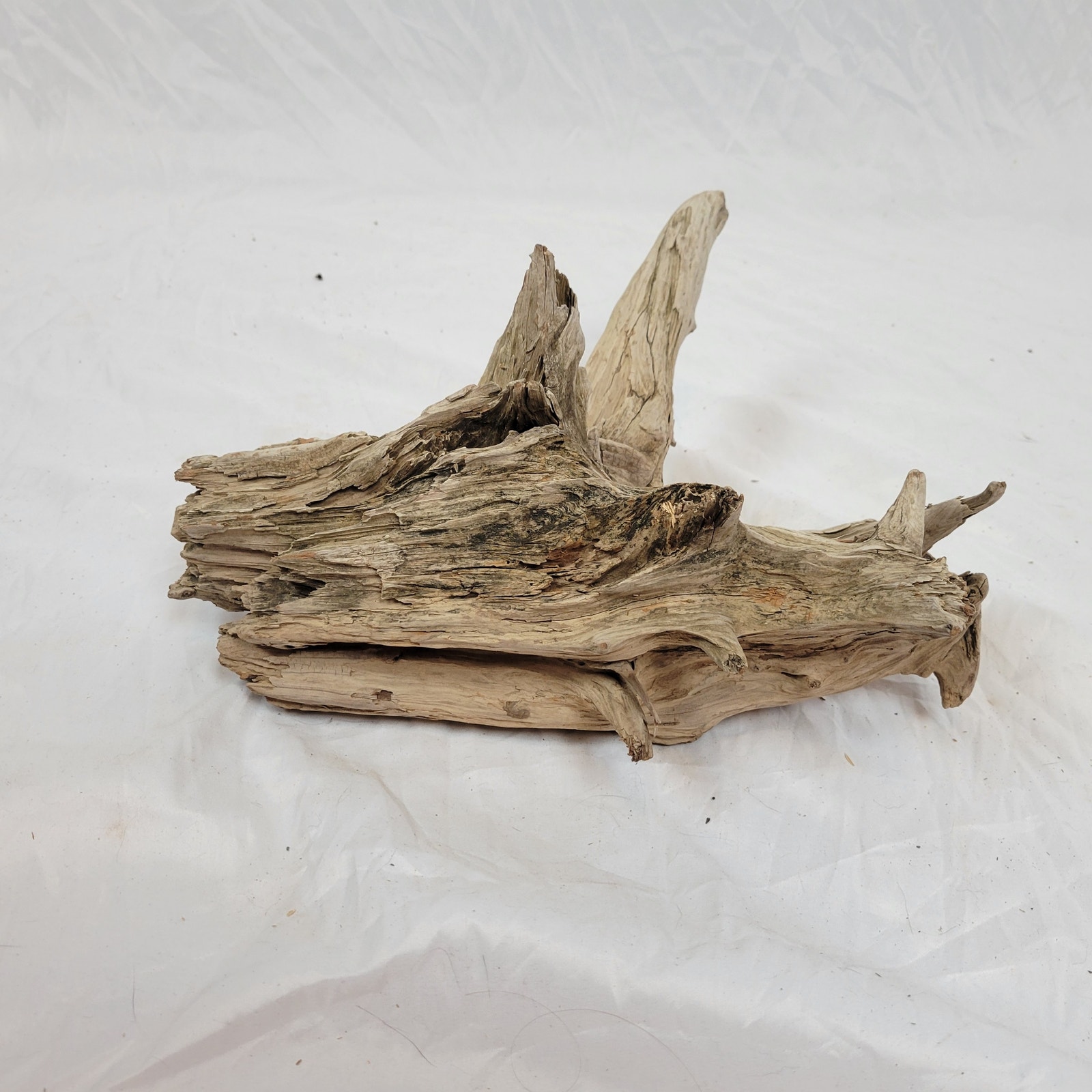 Ohio River Driftwood 13 x12.5 x7.5