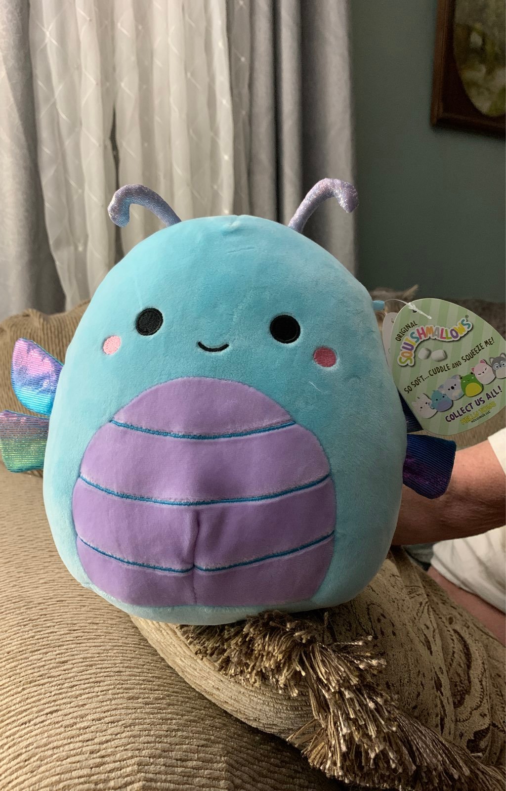 squishmallow butterfly Heather