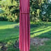 Pinkblush maternity dress