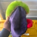 New Orleans Pelicans CITY EDITION Plush Pierre The Pelican Hat City Edition