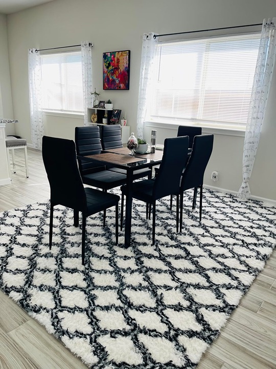 Luxury Shag Area Rug 4x6 Feet Geometric Plush Fluffy Rugs, Extra Soft Carpet
