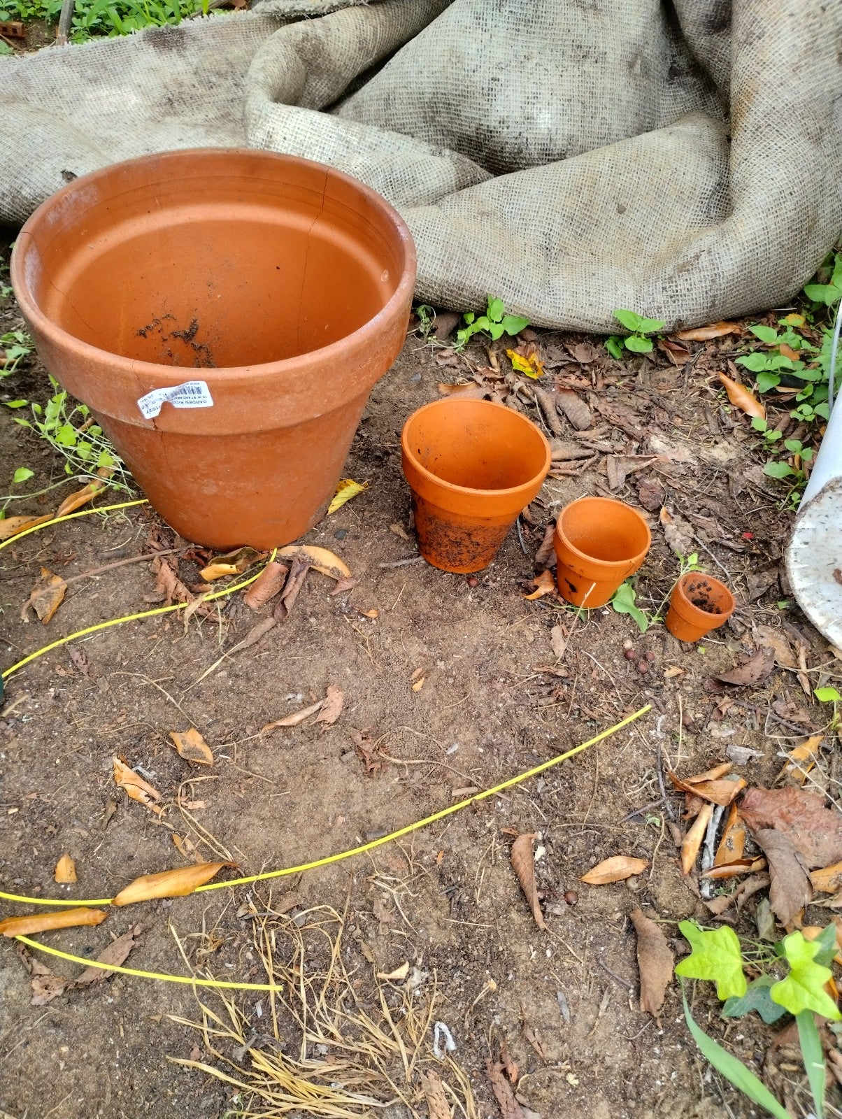 Clay flower pots