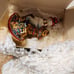 Polonaise Santa on Rocking Horse ornament.